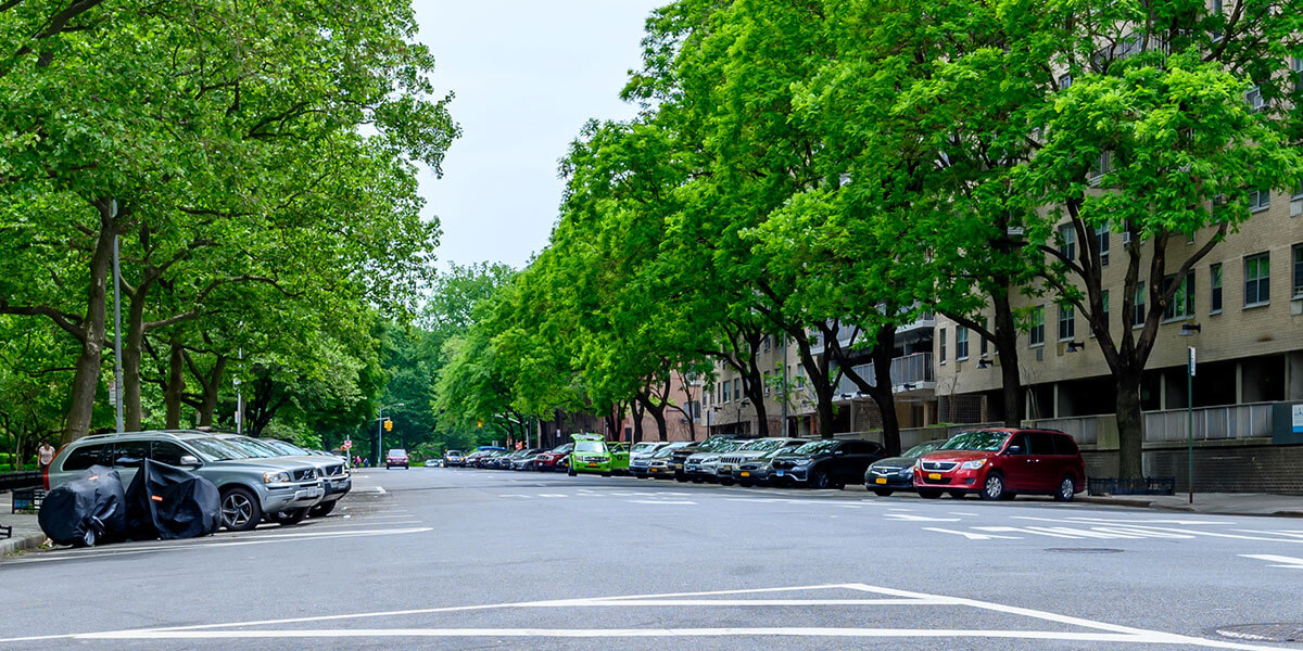 tree-lined street with parked cars